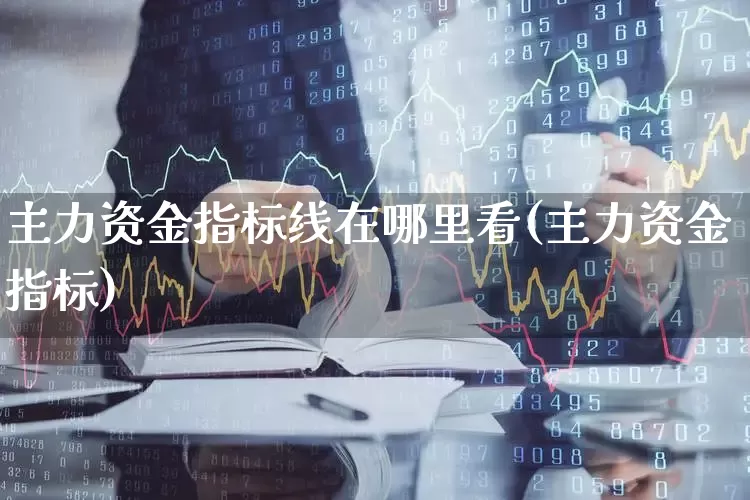 主力资金指标线在哪里看(主力资金指标)_https://www.xzdzchf.com_上交所_第1张