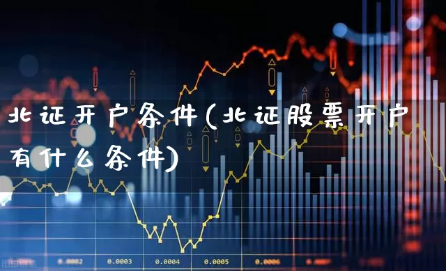 北证开户条件(北证股票开户有什么条件)_https://www.xzdzchf.com_创业板_第1张