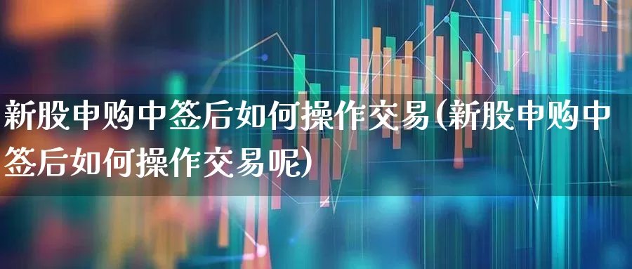 新股申购中签后如何操作交易(新股申购中签后如何操作交易呢)_https://www.xzdzchf.com_科创板_第1张