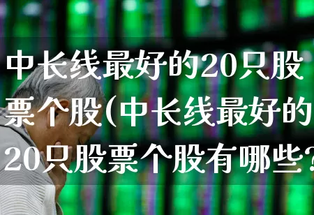 中长线最好的20只股票个股(中长线最好的20只股票个股有哪些?)_https://www.xzdzchf.com_北交所_第1张