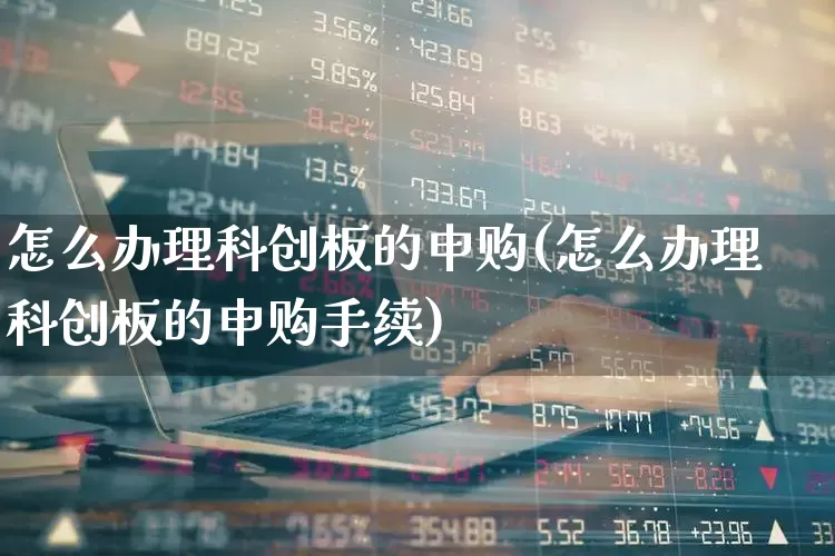 怎么办理科创板的申购(怎么办理科创板的申购手续)_https://www.xzdzchf.com_科创板_第1张