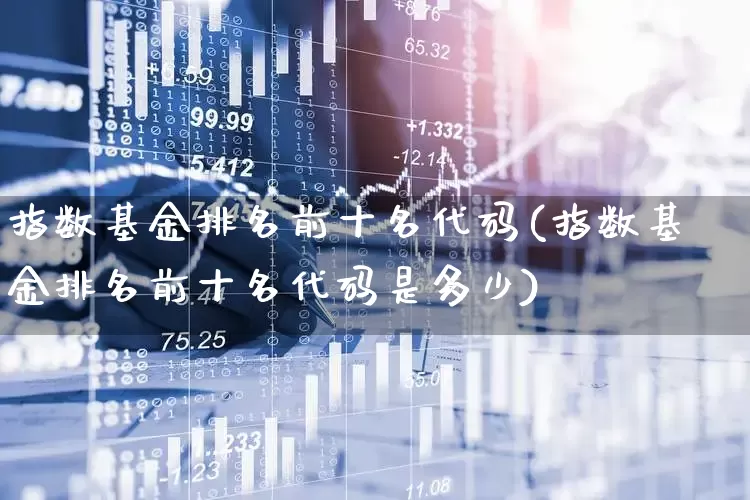 指数基金排名前十名代码(指数基金排名前十名代码是多少)_https://www.xzdzchf.com_科创板_第1张