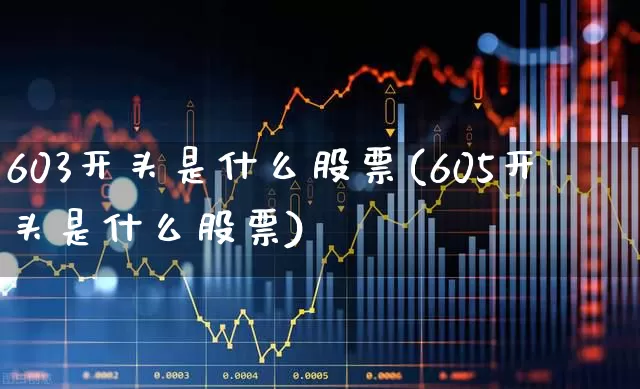 603开头是什么股票(605开头是什么股票)_https://www.xzdzchf.com_创业板_第1张