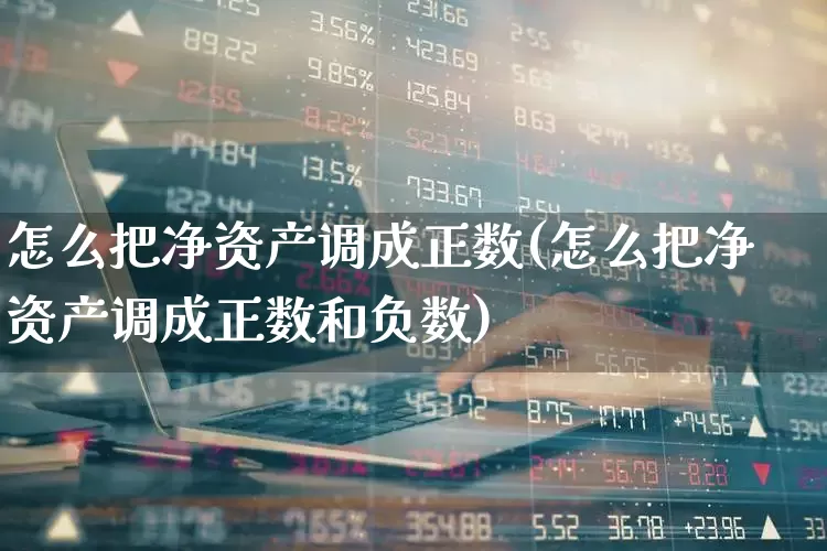 怎么把净资产调成正数(怎么把净资产调成正数和负数)_https://www.xzdzchf.com_北交所_第1张