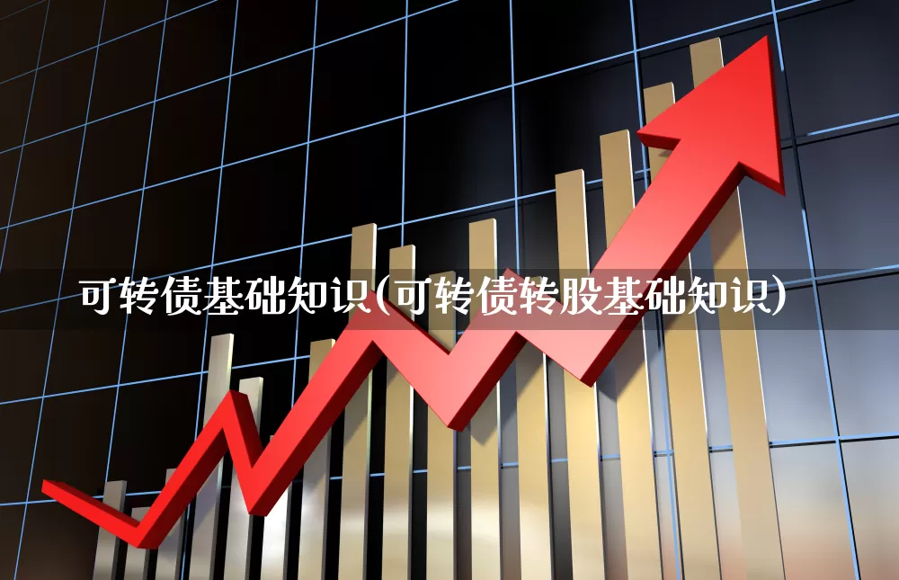可转债基础知识(可转债转股基础知识)_https://www.xzdzchf.com_深交所_第1张