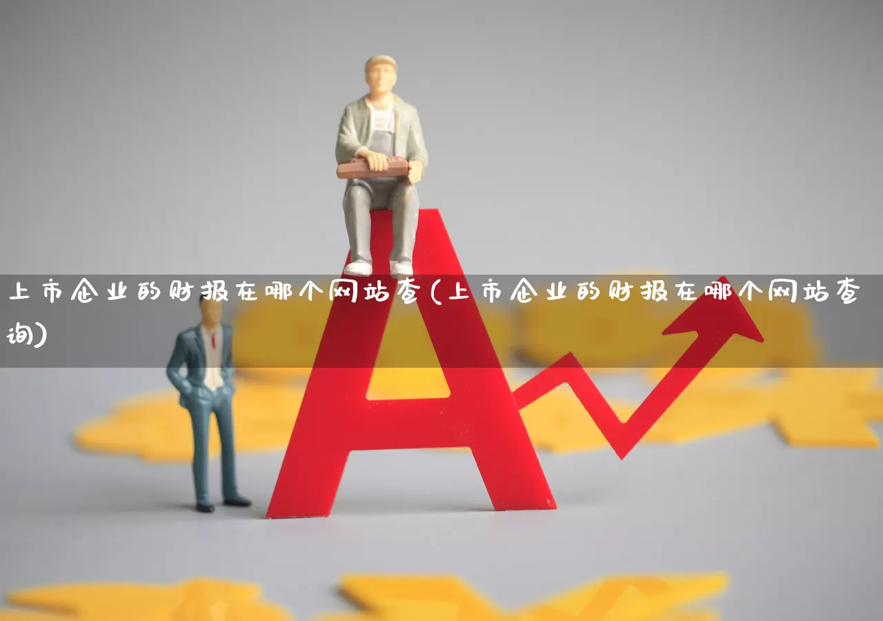 上市企业的财报在哪个网站查(上市企业的财报在哪个网站查询)_https://www.xzdzchf.com_北交所_第1张