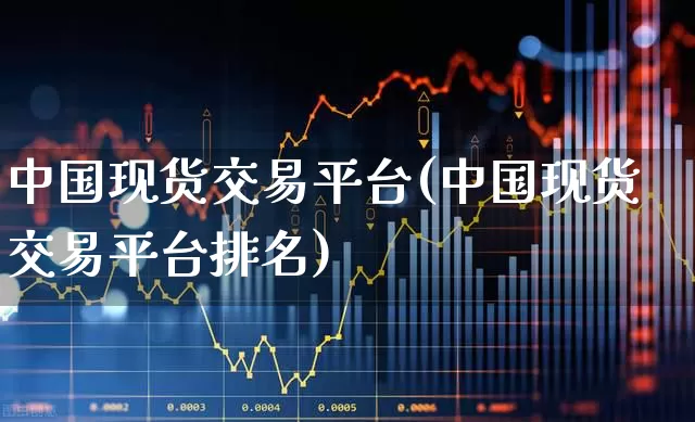 中国现货交易平台(中国现货交易平台排名)_https://www.xzdzchf.com_深交所_第1张