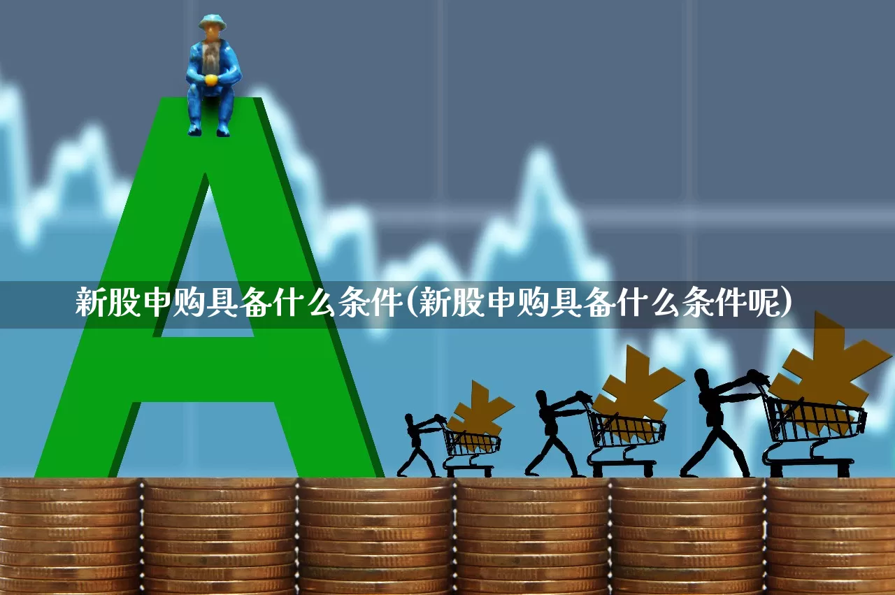 新股申购具备什么条件(新股申购具备什么条件呢)_https://www.xzdzchf.com_北交所_第1张