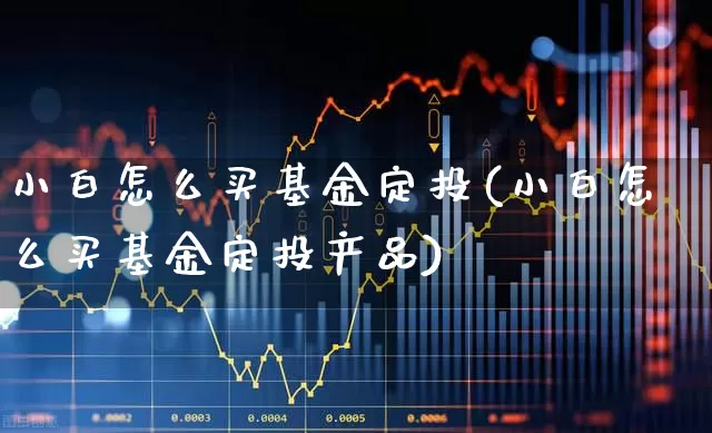 小白怎么买基金定投(小白怎么买基金定投产品)_https://www.xzdzchf.com_科创板_第1张