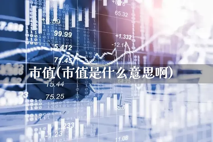 市值(市值是什么意思啊)_https://www.xzdzchf.com_深交所_第1张