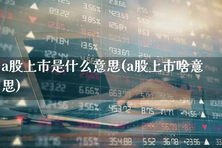 a股上市是什么意思(a股上市啥意思)_https://www.xzdzchf.com_深交所_第1张