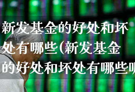 新发基金的好处和坏处有哪些(新发基金的好处和坏处有哪些呢)_https://www.xzdzchf.com_科创板_第1张