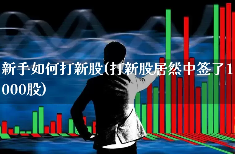 新手如何打新股(打新股居然中签了1000股)_https://www.xzdzchf.com_北交所_第1张