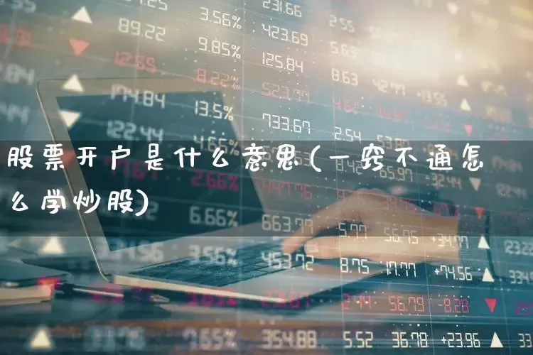 股票开户是什么意思(一窍不通怎么学炒股)_https://www.xzdzchf.com_创业板_第1张