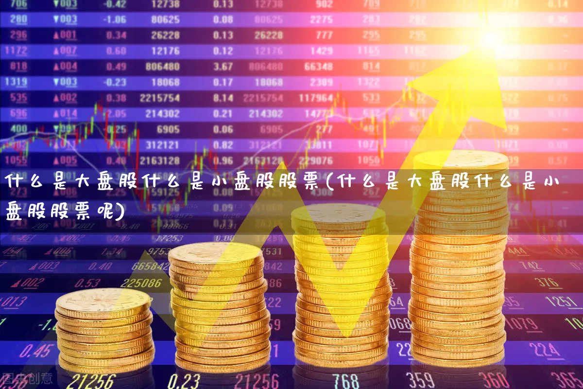 什么是大盘股什么是小盘股股票(什么是大盘股什么是小盘股股票呢)_https://www.xzdzchf.com_北交所_第1张
