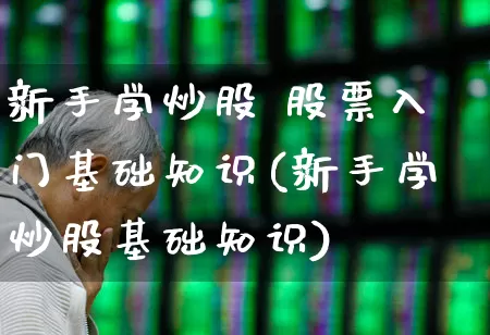 新手学炒股 股票入门基础知识(新手学炒股基础知识)_https://www.xzdzchf.com_创业板_第1张