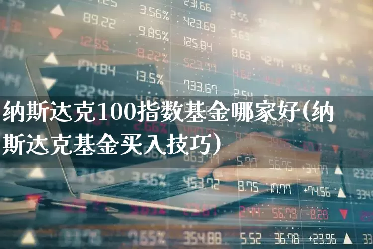 纳斯达克100指数基金哪家好(纳斯达克基金买入技巧)_https://www.xzdzchf.com_上交所_第1张