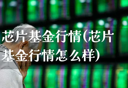 芯片基金行情(芯片基金行情怎么样)_https://www.xzdzchf.com_北交所_第1张