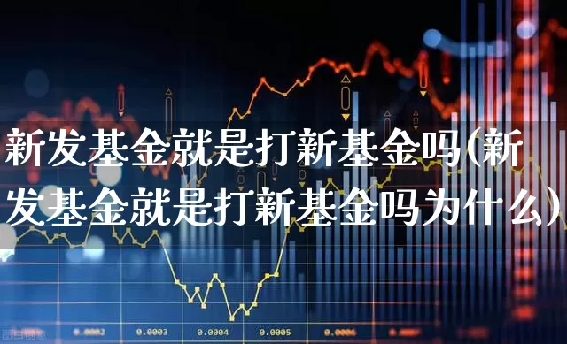 新发基金就是打新基金吗(新发基金就是打新基金吗为什么)_https://www.xzdzchf.com_创业板_第1张
