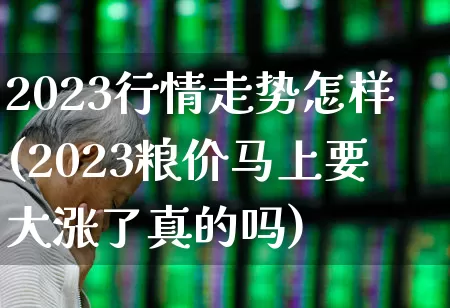 2023行情走势怎样(2023粮价马上要大涨了真的吗)_https://www.xzdzchf.com_北交所_第1张