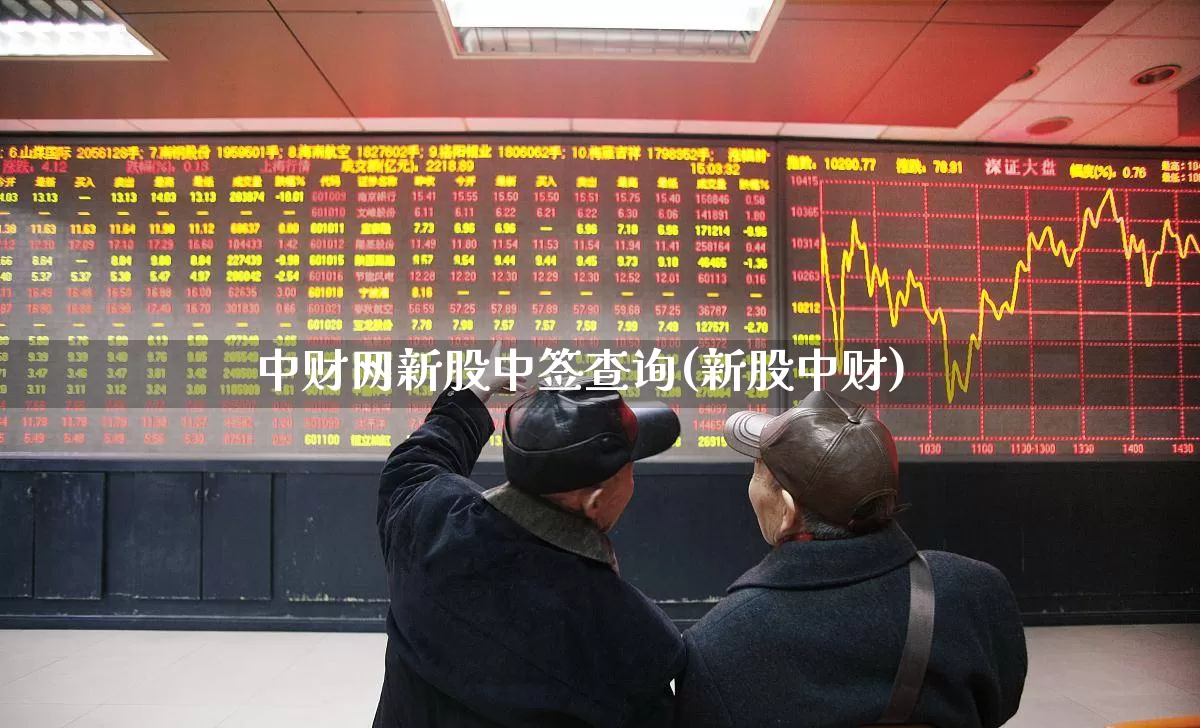 中财网新股中签查询(新股中财)_https://www.xzdzchf.com_深交所_第1张