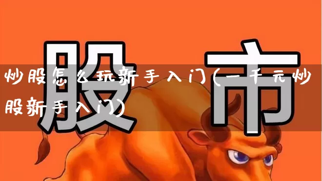 炒股怎么玩新手入门(一千元炒股新手入门)_https://www.xzdzchf.com_科创板_第1张