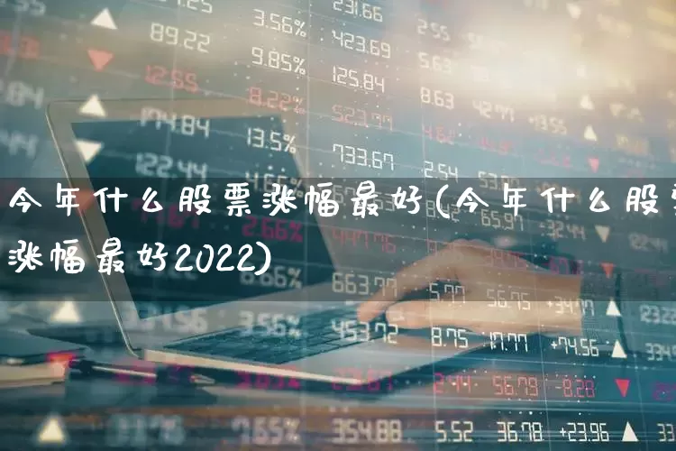 今年什么股票涨幅最好(今年什么股票涨幅最好2022)_https://www.xzdzchf.com_北交所_第1张