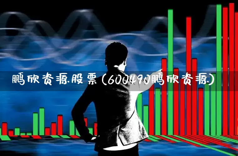 鹏欣资源股票(600490鹏欣资源)_https://www.xzdzchf.com_创业板_第1张