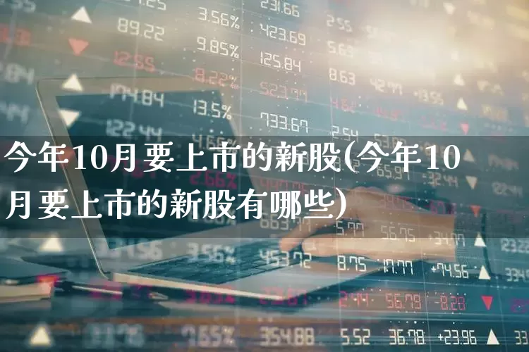 今年10月要上市的新股(今年10月要上市的新股有哪些)_https://www.xzdzchf.com_创业板_第1张