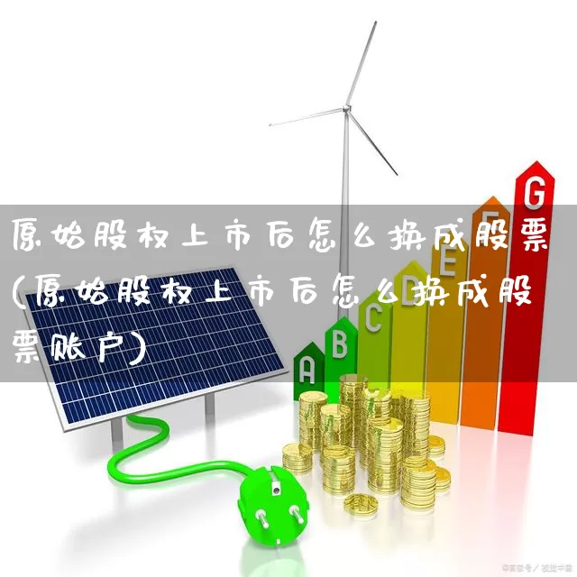 原始股权上市后怎么换成股票(原始股权上市后怎么换成股票账户)_https://www.xzdzchf.com_深交所_第1张