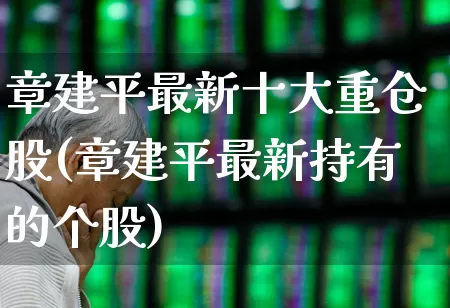 章建平最新十大重仓股(章建平最新持有的个股)_https://www.xzdzchf.com_科创板_第1张