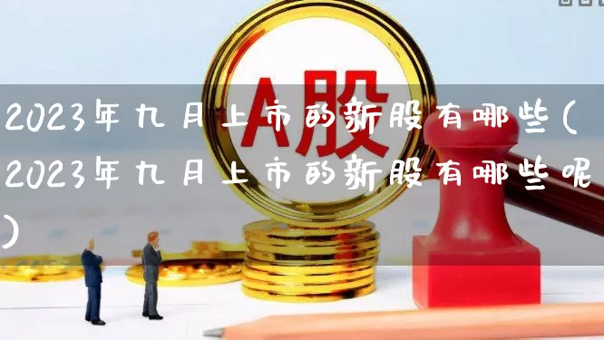 2023年九月上市的新股有哪些(2023年九月上市的新股有哪些呢)_https://www.xzdzchf.com_北交所_第1张