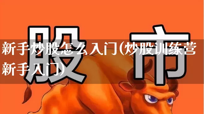 新手炒股怎么入门(炒股训练营新手入门)_https://www.xzdzchf.com_北交所_第1张
