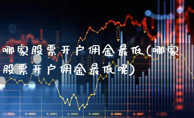 哪家股票开户佣金最低(哪家股票开户佣金最低呢)_https://www.xzdzchf.com_深交所_第1张