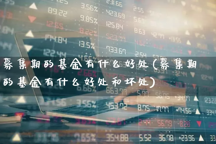 募集期的基金有什么好处(募集期的基金有什么好处和坏处)_https://www.xzdzchf.com_创业板_第1张