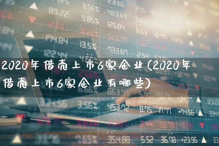 2020年借壳上市6家企业(2020年借壳上市6家企业有哪些)_https://www.xzdzchf.com_深交所_第1张