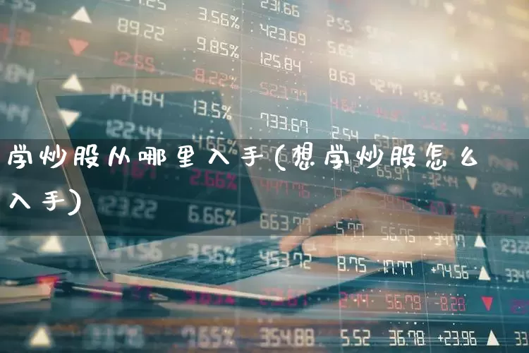 学炒股从哪里入手(想学炒股怎么入手)_https://www.xzdzchf.com_科创板_第1张