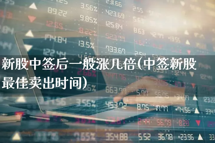新股中签后一般涨几倍(中签新股最佳卖出时间)_https://www.xzdzchf.com_科创板_第1张