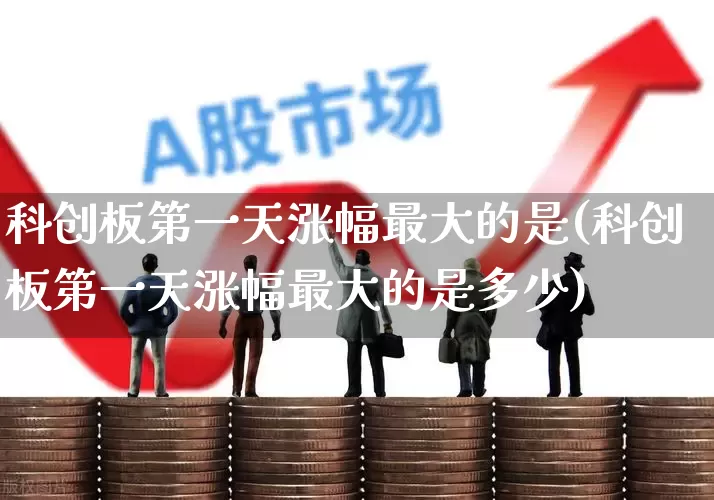 科创板第一天涨幅最大的是(科创板第一天涨幅最大的是多少)_https://www.xzdzchf.com_深交所_第1张