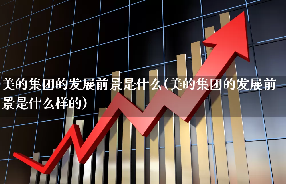 美的集团的发展前景是什么(美的集团的发展前景是什么样的)_https://www.xzdzchf.com_北交所_第1张