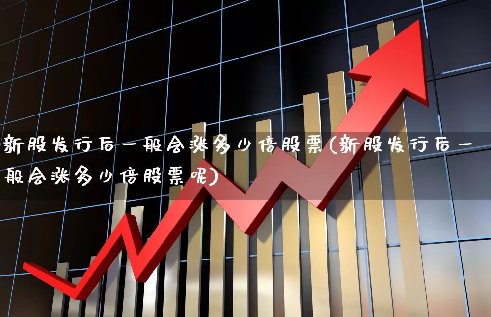 新股发行后一般会涨多少倍股票(新股发行后一般会涨多少倍股票呢)_https://www.xzdzchf.com_北交所_第1张