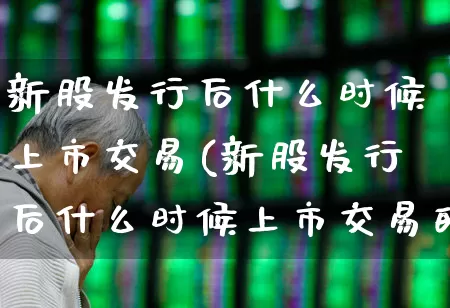 新股发行后什么时候上市交易(新股发行后什么时候上市交易的)_https://www.xzdzchf.com_深交所_第1张