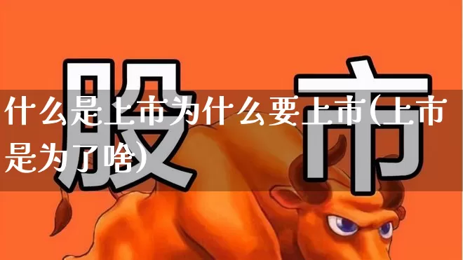 什么是上市为什么要上市(上市是为了啥)_https://www.xzdzchf.com_创业板_第1张