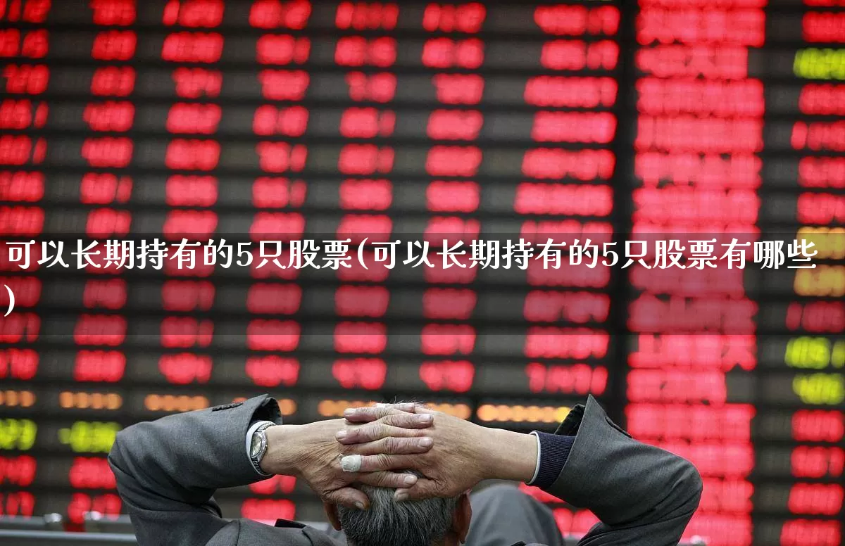 可以长期持有的5只股票(可以长期持有的5只股票有哪些)_https://www.xzdzchf.com_创业板_第1张