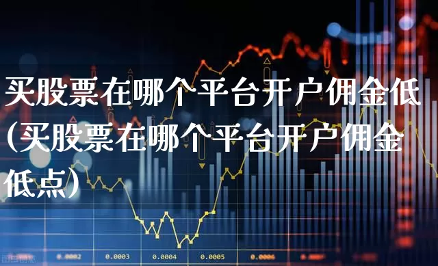 买股票在哪个平台开户佣金低(买股票在哪个平台开户佣金低点)_https://www.xzdzchf.com_北交所_第1张