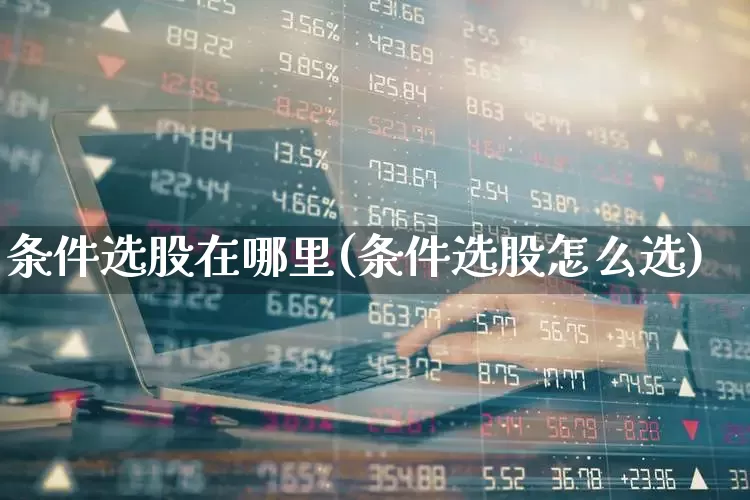 条件选股在哪里(条件选股怎么选)_https://www.xzdzchf.com_北交所_第1张