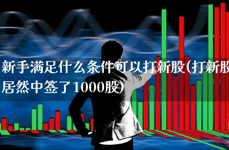 新手满足什么条件可以打新股(打新股居然中签了1000股)_https://www.xzdzchf.com_创业板_第1张