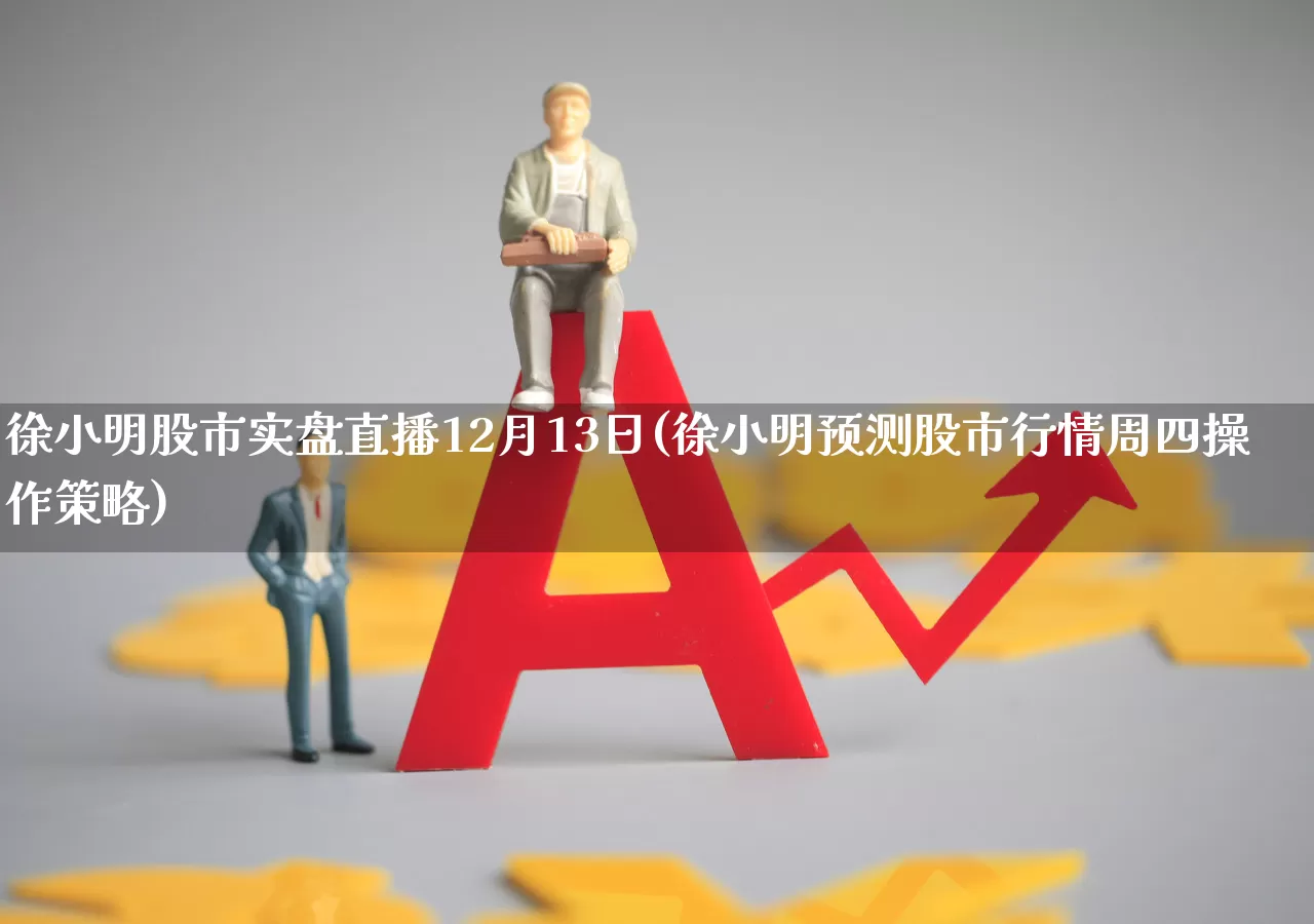徐小明股市实盘直播12月13日(徐小明预测股市行情周四操作策略)_https://www.xzdzchf.com_科创板_第1张