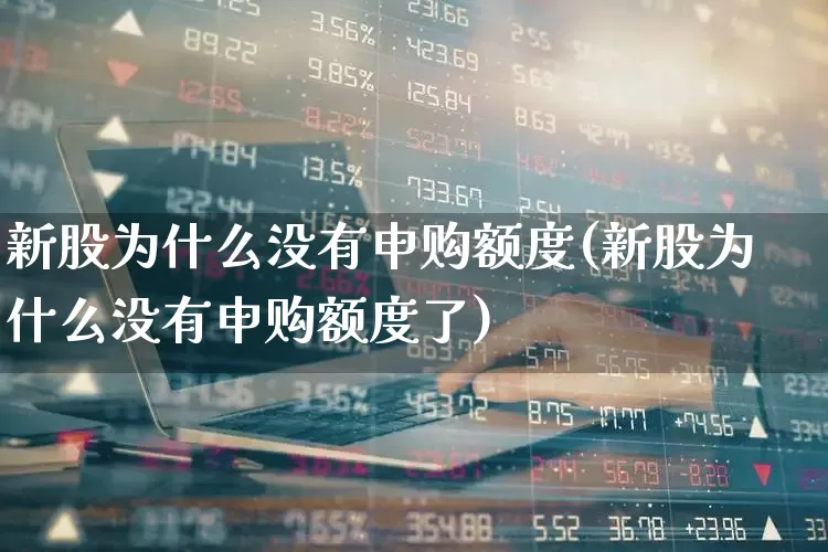 新股为什么没有申购额度(新股为什么没有申购额度了)_https://www.xzdzchf.com_北交所_第1张