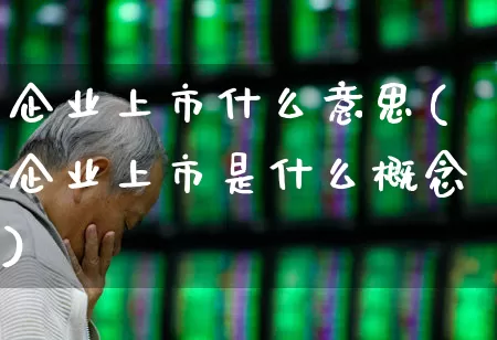 企业上市什么意思(企业上市是什么概念)_https://www.xzdzchf.com_北交所_第1张